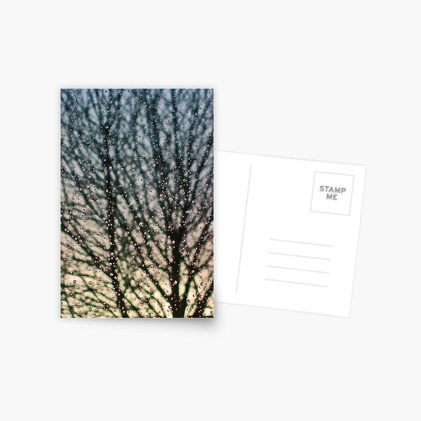 Rain Postcard