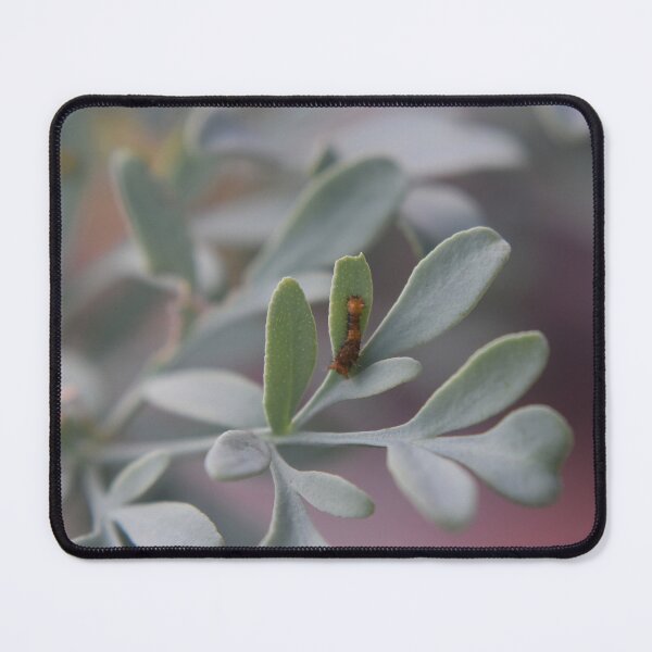 Item preview, Newborn designed and sold by NAImagery.