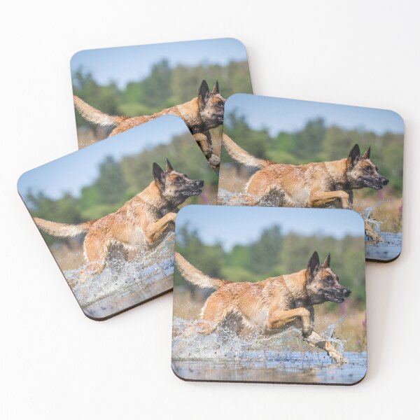 Item preview, Malinois designed and sold by WeightPulling.