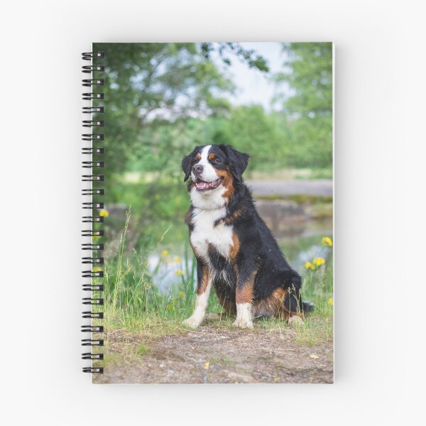 Artikelvorschau, Berner Sennenhund (Bernese Mountain Dog) entworfen und verkauft von WeightPulling.