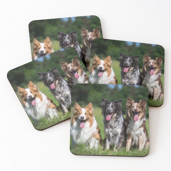 Item preview, Tres collies fronterizos designed and sold by WeightPulling.