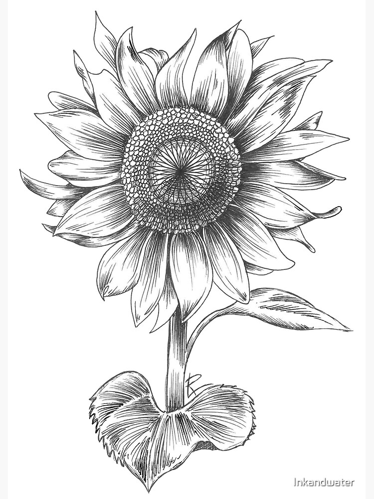 Sunflower Black Pencil Bag - Dreams After All