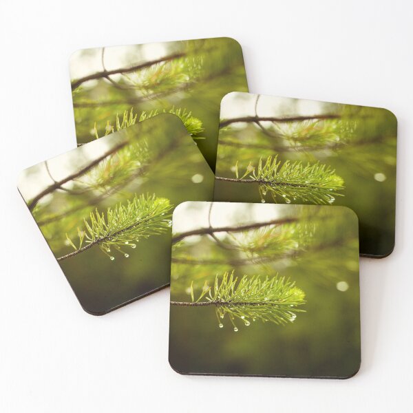 Item preview, wet pine branch after the rain designed and sold by LiubovAvdeeva.