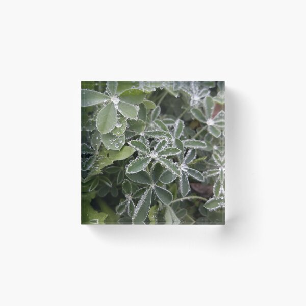 Item preview, Dew Drops designed and sold by NAImagery.