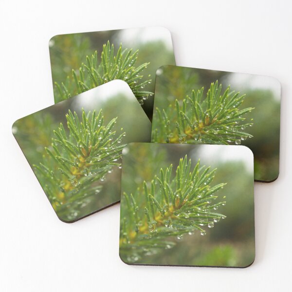 Item preview, wet pine branch after the rain designed and sold by LiubovAvdeeva.