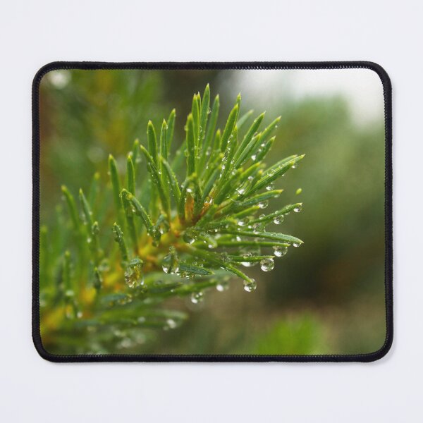 Item preview, wet pine branch after the rain designed and sold by LiubovAvdeeva.