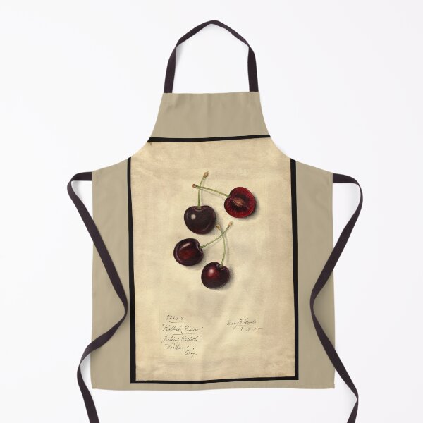 Item preview, Pomological Watercolor of Kallich Giant Cherries (Prunus avium) designed and sold by Amanda1775.