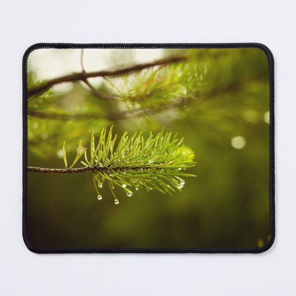 Item preview, wet pine branch after the rain designed and sold by LiubovAvdeeva.