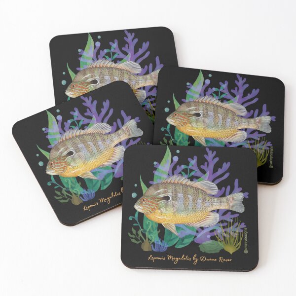 Item preview, Lepomis Megalotis by Duane Raver designed and sold by smirey designs.