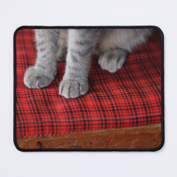 Item preview, furry paws of a grey cat closeup on a red checkered pillow designed and sold by LiubovAvdeeva.