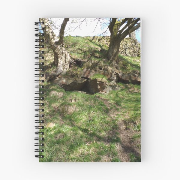 Item preview, Goyt Valley Hollow Tree designed and sold by Melaniesstore.