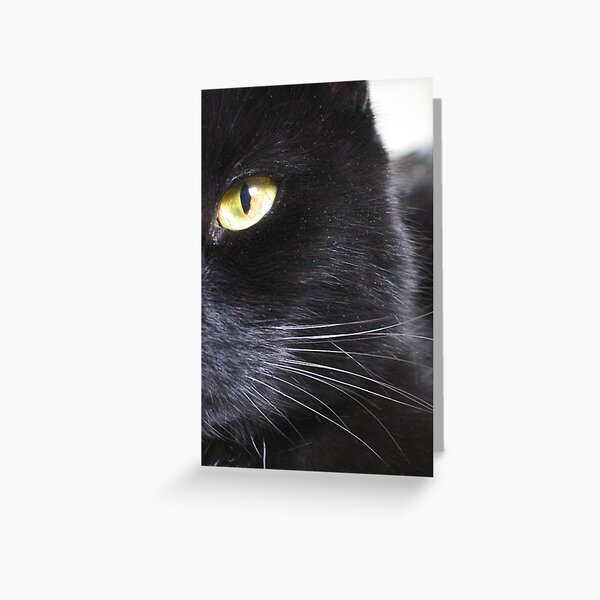 Black cat Greeting Card