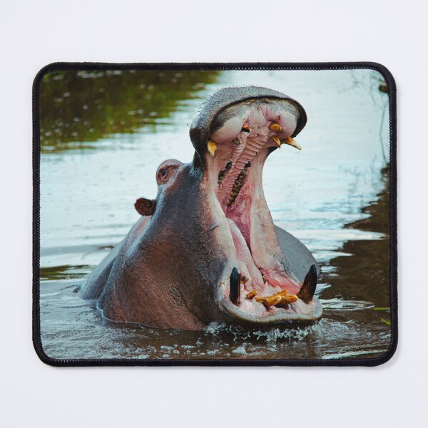 Item preview, Hungry Hippo designed and sold by EcoSpectrum.