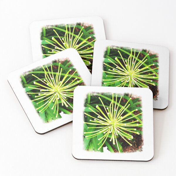 Item preview, Stems of The African Lily designed and sold by HazelEyeStudio.