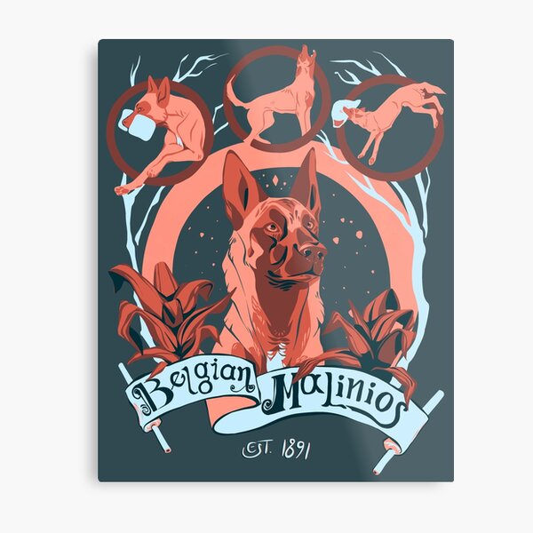 Metal Print
