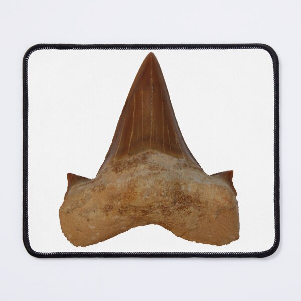Item preview, Otodus obliquus - Extinct Mackerel Shark designed and sold by OrganicOasisArt.