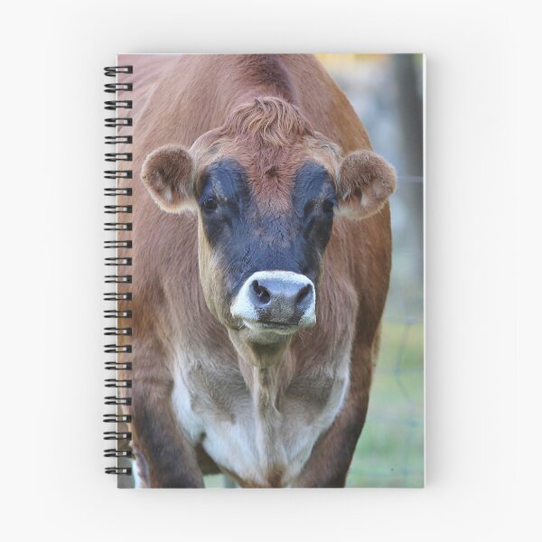 Item preview, Gentle creature - Jersey cow designed and sold by Linda Crockett.