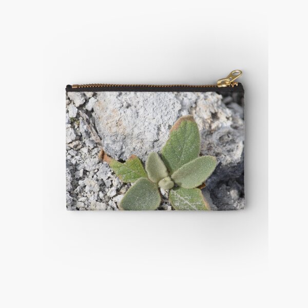 Item preview, Small Plant with Rock designed and sold by MontanaWolves21.