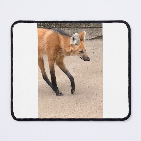 Item preview, CAPTIVE MANED WOLF designed and sold by trevorp.