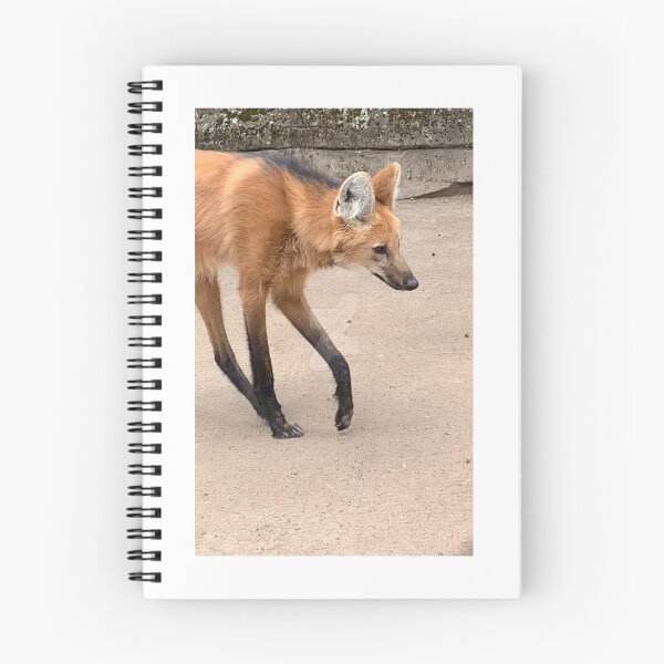 Item preview, CAPTIVE MANED WOLF designed and sold by trevorp.