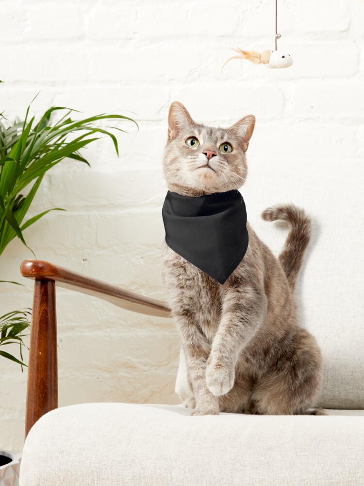 Baltimore-City  Pet Bandana for Sale by goshtalk