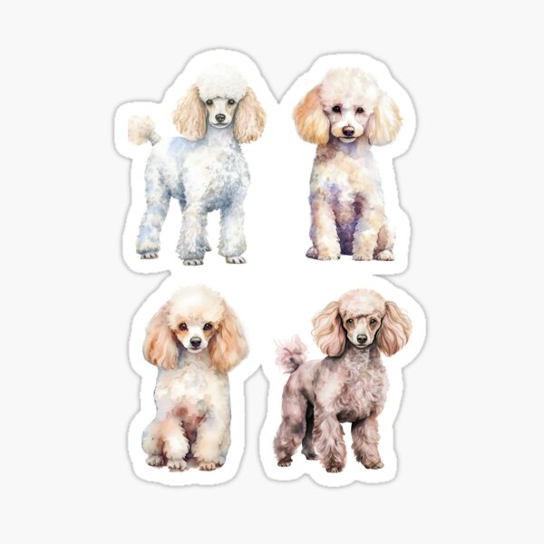 Item preview, Colorful Poodles designed and sold by TheAnimalZ00.