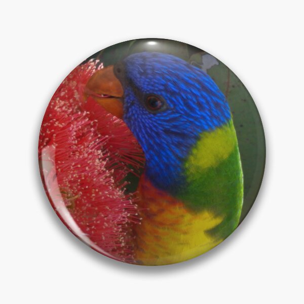 Item preview, Rainbow Lorikeet  designed and sold by Linda Sijpkes.