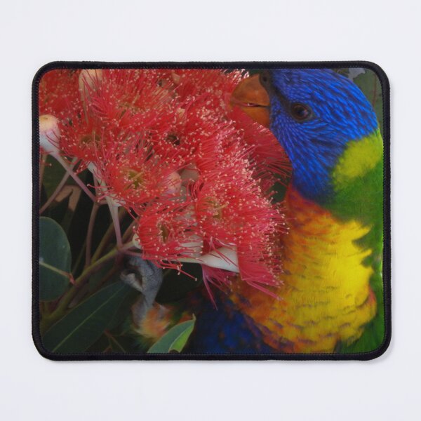 Item preview, Rainbow Lorikeet designed and sold by Linda Sijpkes.