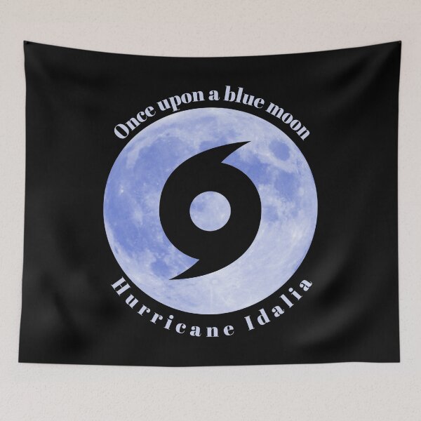 Aperçu de l'œuvre Il était une lune bleue, l'ouragan Idalia créée et vendue par Largerterritory.