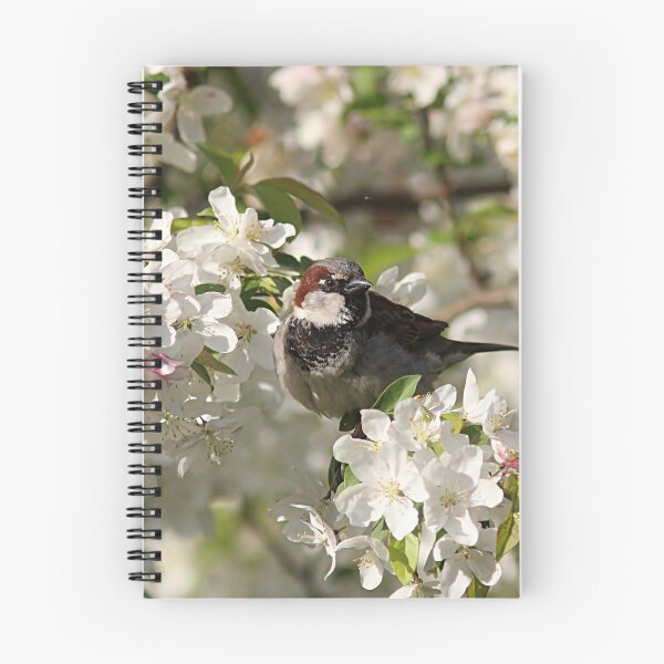 Item preview, Male house sparrow and spring blossoms designed and sold by Linda Crockett.