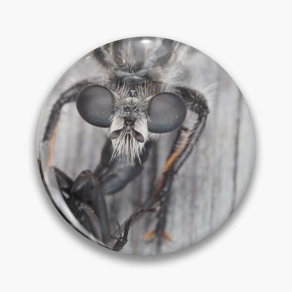 Item preview, Robber fly with prey designed and sold by SDym Photography.