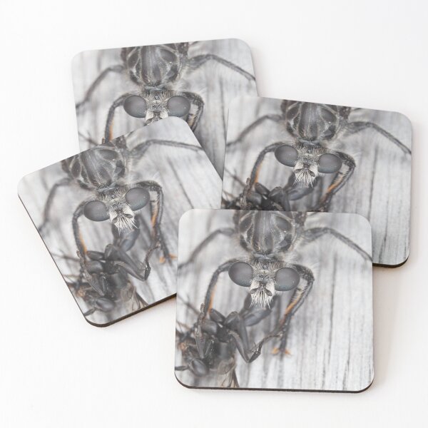 Item preview, Robber fly with prey designed and sold by SDym Photography.