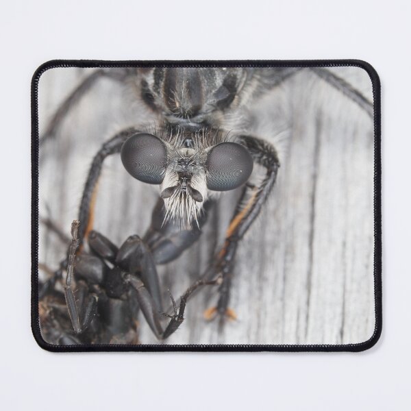 Item preview, Robber fly with prey designed and sold by SDym Photography.