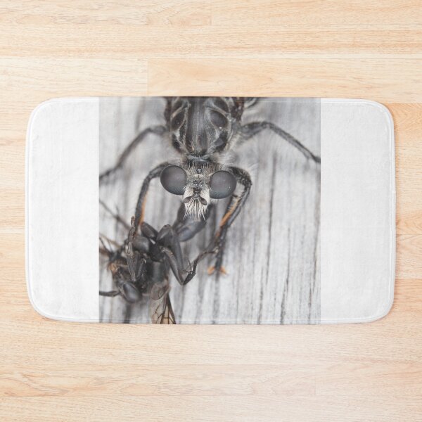 Item preview, Robber fly with prey designed and sold by SDym Photography.