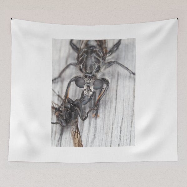 Item preview, Robber fly with prey designed and sold by SDym Photography.