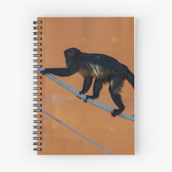 Item preview, Curious George designed and sold by Ruth Goldsack.