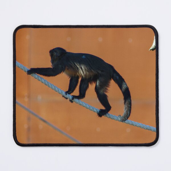 Item preview, Curious George designed and sold by Ruth Goldsack.
