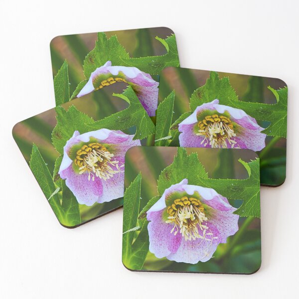 Item preview, Pink Flower Hellebore Tutu designed and sold by Joy Watson - Natural Light Photography .
