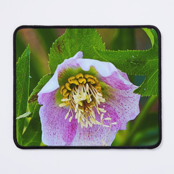 Item preview, Pink Flower Hellebore Tutu designed and sold by Joy Watson - Natural Light Photography .