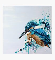 Kingfisher Bird Photographic Print