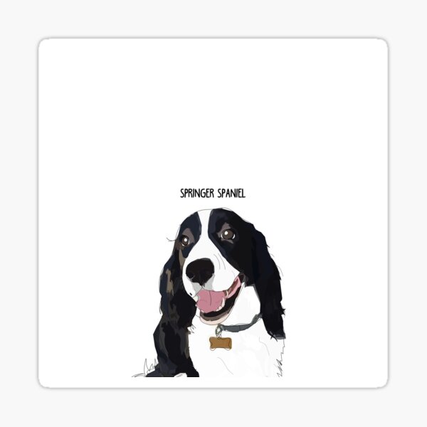 Springer Spaniel Dog Sticker