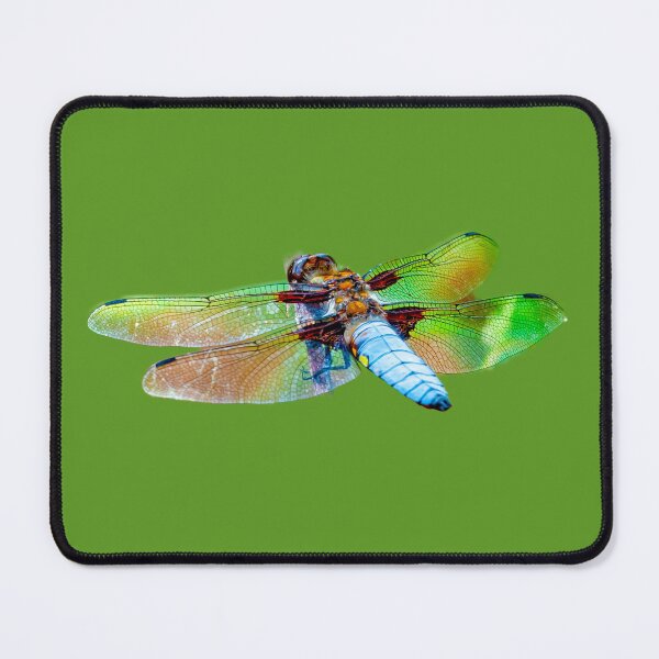 Item preview, Blue  Dragonfly designed and sold by Dalyndigital Photography.
