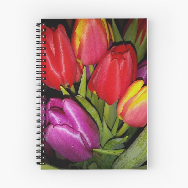 Item preview, Tulips of many colours designed and sold by BryanDevon.