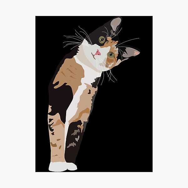 Pintura en lienzo de gato divertido y bonito, carteles e impresiones de  gatitos con ojos grandes