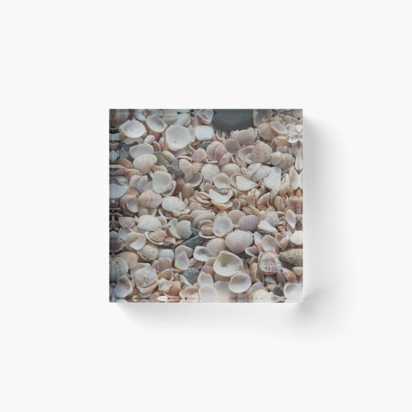 Item preview, Shell Beach designed and sold by SavingMemories.
