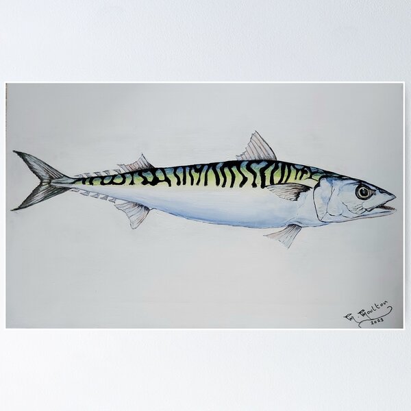 Item preview, The Mackerel  designed and sold by Mackenzie Moulton International Artist .