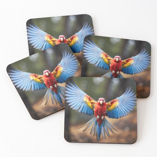Item preview, Rainbows in flight designed and sold by Mellym007.