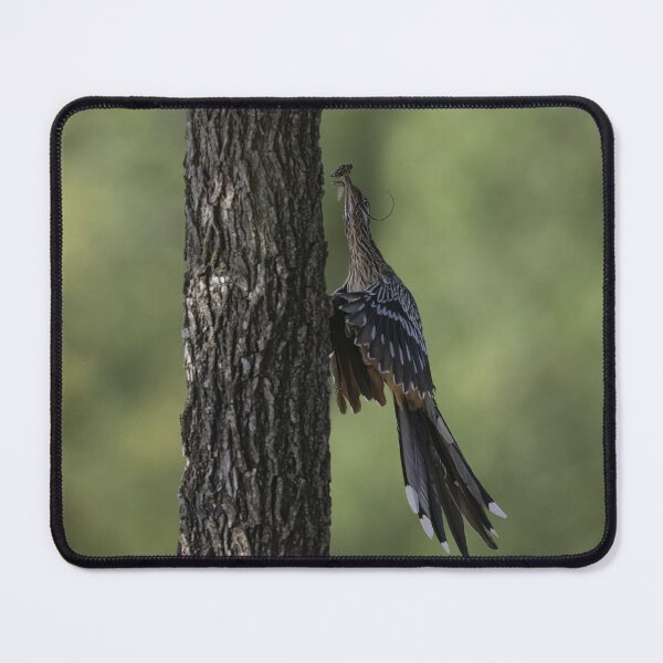 Item preview, Hungry baby roadrunner at the nest designed and sold by Puttaswamy Ravishankar.