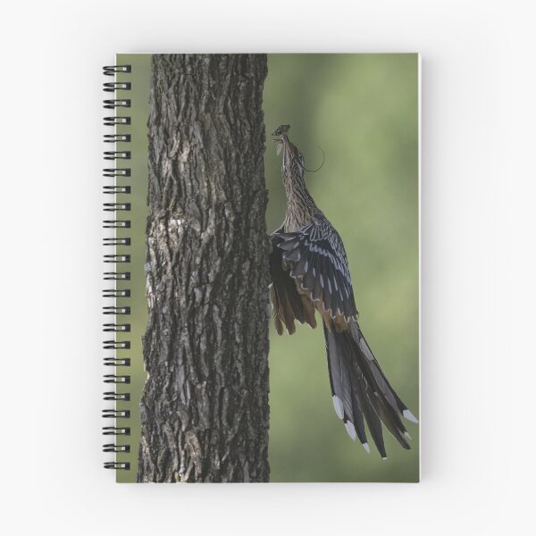 Item preview, Hungry baby roadrunner at the nest designed and sold by Puttaswamy Ravishankar.