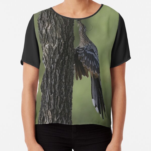 Chiffon Top